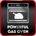 Powerful Gas Oven